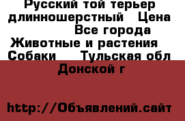 Русский той-терьер длинношерстный › Цена ­ 7 000 - Все города Животные и растения » Собаки   . Тульская обл.,Донской г.